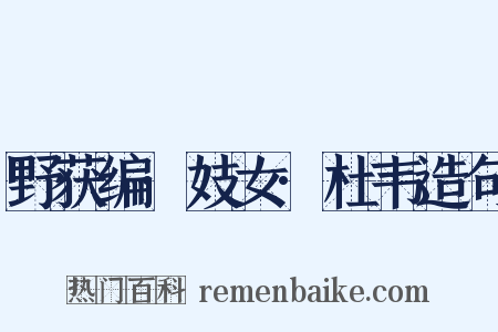 野获编·妓女·杜韦造句是什么意思的图片